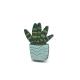 Succulent Saksıda Ahşap El Boyaması Broş